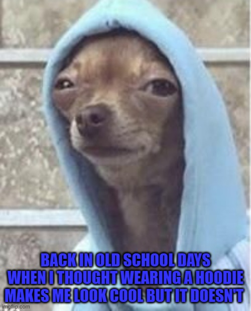 BACK IN OLD SCHOOL DAYS WHEN I THOUGHT WEARING A HOODIE MAKES ME LOOK COOL BUT IT DOESN'T | image tagged in dogs | made w/ Imgflip meme maker