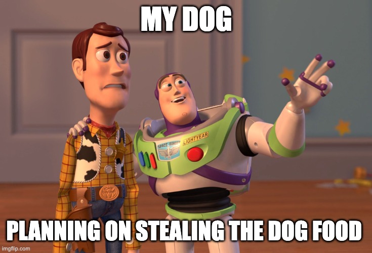 X, X Everywhere Meme | MY DOG; PLANNING ON STEALING THE DOG FOOD | image tagged in memes,x x everywhere | made w/ Imgflip meme maker