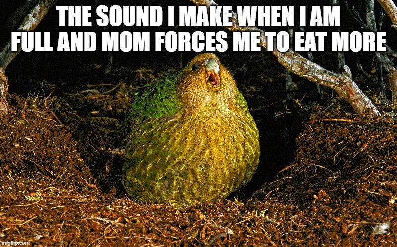 boom | THE SOUND I MAKE WHEN I AM FULL AND MOM FORCES ME TO EAT MORE | image tagged in memes | made w/ Imgflip meme maker