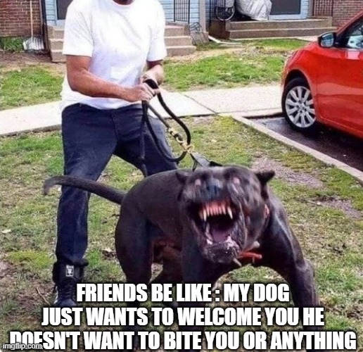 FRIENDS BE LIKE : MY DOG JUST WANTS TO WELCOME YOU HE DOESN'T WANT TO BITE YOU OR ANYTHING | image tagged in dogs | made w/ Imgflip meme maker