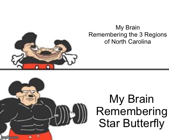 Buff Mokey | My Brain Remembering the 3 Regions of North Carolina; My Brain Remembering Star Butterfly | image tagged in buff mokey,memes,relatable memes,relatable,brain,star butterfly | made w/ Imgflip meme maker