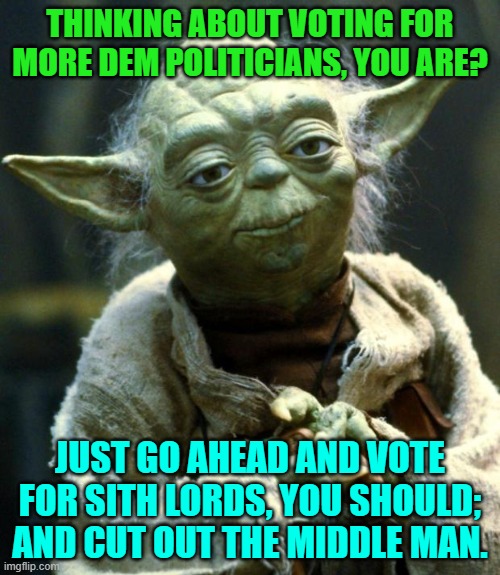 Sometimes you gotta wonder just what some people are thinking. | THINKING ABOUT VOTING FOR MORE DEM POLITICIANS, YOU ARE? JUST GO AHEAD AND VOTE FOR SITH LORDS, YOU SHOULD; AND CUT OUT THE MIDDLE MAN. | image tagged in star wars yoda | made w/ Imgflip meme maker