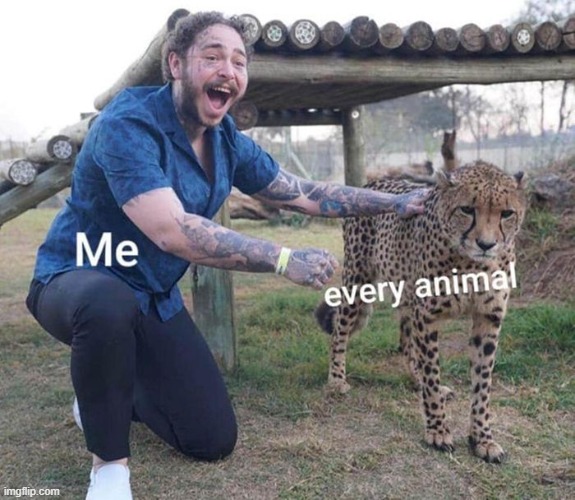 image tagged in memes | made w/ Imgflip meme maker