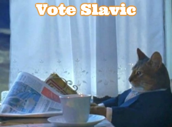 I Should Buy A Boat Cat | Vote Slavic | image tagged in memes,i should buy a boat cat,slavic | made w/ Imgflip meme maker