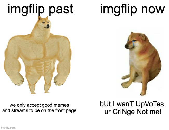 sad but its true | imgflip past; imgflip now; we only accept good memes and streams to be on the front page; bUt I wanT UpVoTes, ur CrINge Not me! | image tagged in memes,buff doge vs cheems,imgflip,imgflip users,imgflip community | made w/ Imgflip meme maker