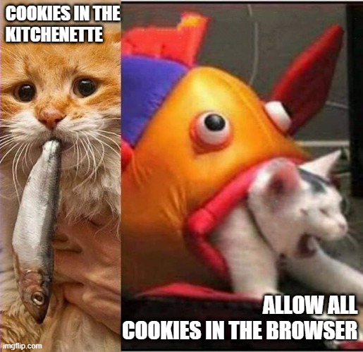 cookies | COOKIES IN THE 
KITCHENETTE; ALLOW ALL COOKIES IN THE BROWSER | image tagged in fish eating cat | made w/ Imgflip meme maker