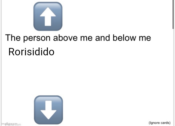 Spammed my keyboard then this got typed | Rorisidido | image tagged in person above below | made w/ Imgflip meme maker