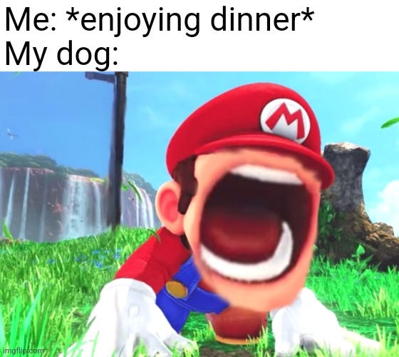Mario screaming | Me: *enjoying dinner*
My dog: | image tagged in mario screaming | made w/ Imgflip meme maker