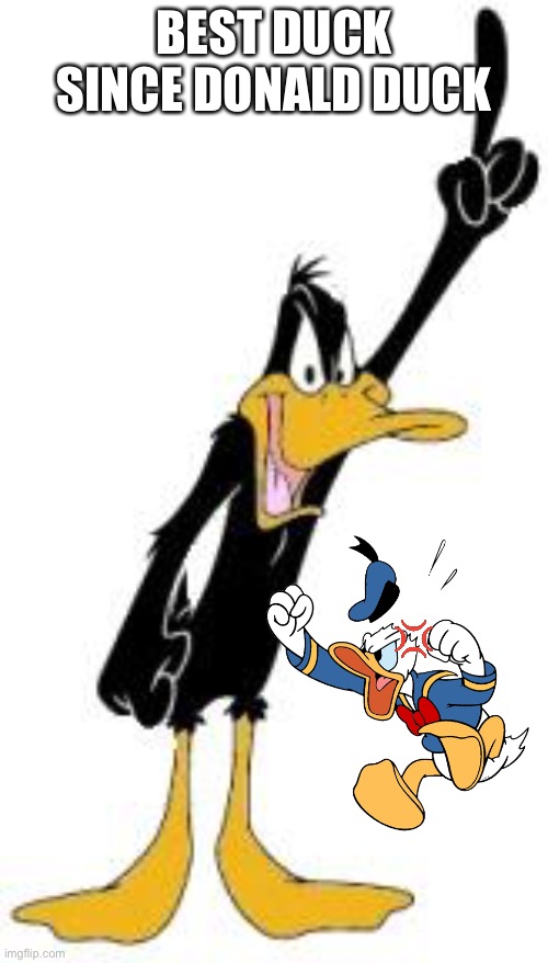 Daffy Duck | BEST DUCK SINCE DONALD DUCK | image tagged in daffy duck,donald duck | made w/ Imgflip meme maker