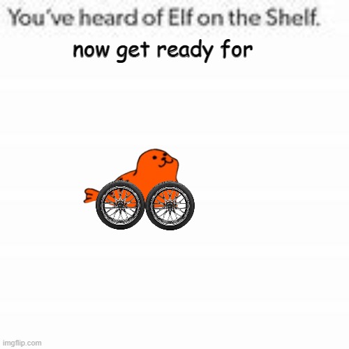 seal on the wheel | now get ready for | image tagged in you've heard of elf on the shelf,seal,wheel | made w/ Imgflip meme maker