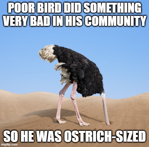 Bad Bird | POOR BIRD DID SOMETHING VERY BAD IN HIS COMMUNITY; SO HE WAS OSTRICH-SIZED | image tagged in ostrich head in sand | made w/ Imgflip meme maker