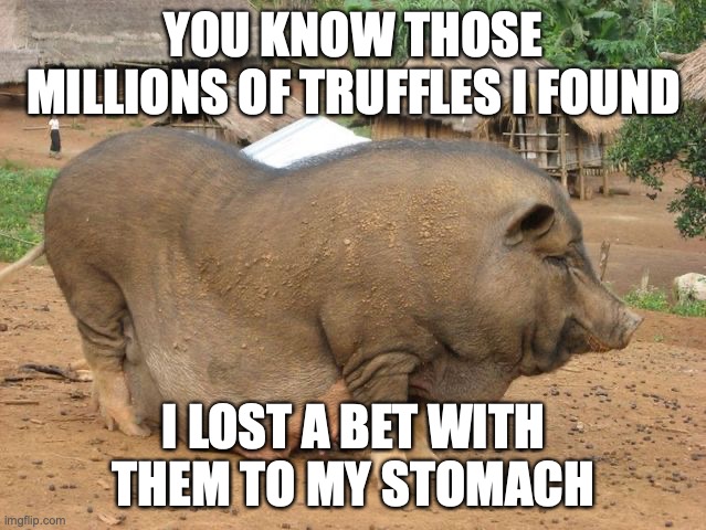 Fat Animal | YOU KNOW THOSE MILLIONS OF TRUFFLES I FOUND; I LOST A BET WITH THEM TO MY STOMACH | image tagged in fat animal | made w/ Imgflip meme maker
