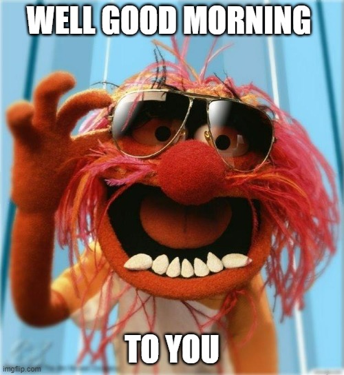 good morning | WELL GOOD MORNING; TO YOU | image tagged in good morning | made w/ Imgflip meme maker