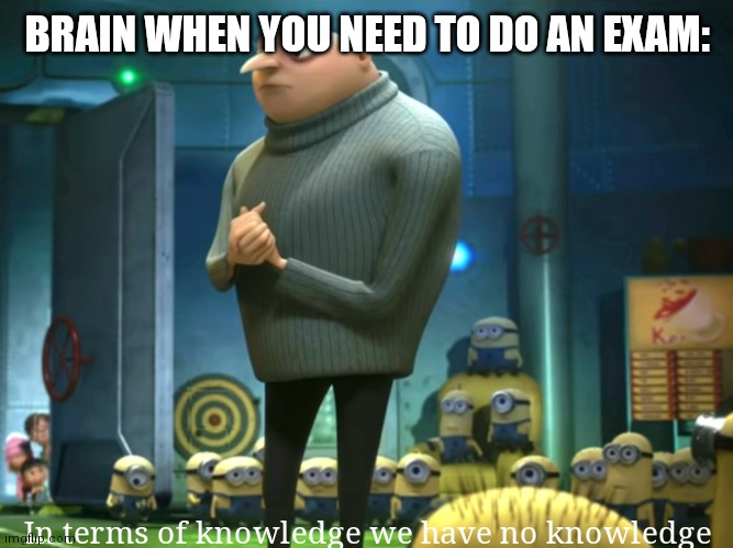 Dumb Meme #59 | BRAIN WHEN YOU NEED TO DO AN EXAM:; In terms of knowledge we have no knowledge | image tagged in in terms of money we have no money,prostate exam,brain,relatable | made w/ Imgflip meme maker