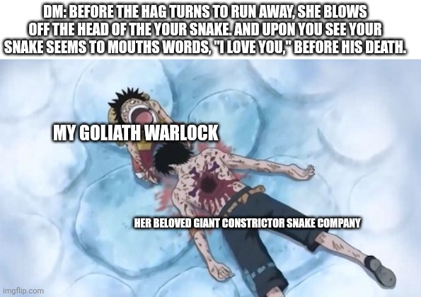 DM: BEFORE THE HAG TURNS TO RUN AWAY, SHE BLOWS OFF THE HEAD OF THE YOUR SNAKE. AND UPON YOU SEE YOUR SNAKE SEEMS TO MOUTHS WORDS, "I LOVE YOU," BEFORE HIS DEATH. MY GOLIATH WARLOCK; HER BELOVED GIANT CONSTRICTOR SNAKE COMPANY | image tagged in one piece,dungeons and dragons | made w/ Imgflip meme maker
