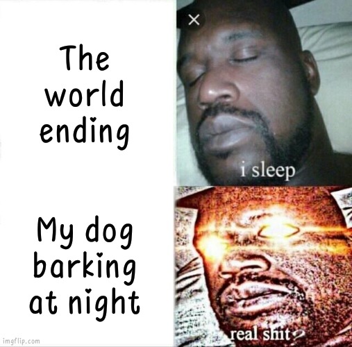 Sleeping Shaq | The world ending; My dog barking at night | image tagged in memes,sleeping shaq | made w/ Imgflip meme maker