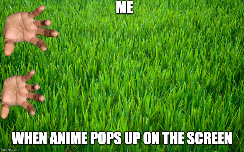 Grass | ME; WHEN ANIME POPS UP ON THE SCREEN | image tagged in grass | made w/ Imgflip meme maker