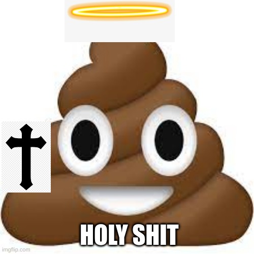 holy shit | HOLY SHIT | image tagged in shit,holy | made w/ Imgflip meme maker
