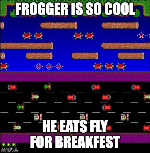 WHY DID I MAKE THIS | FROGGER IS SO COOL; HE EATS FLY FOR BREAKFEST | image tagged in frogger,gaming,old,nostalgia,chaos | made w/ Imgflip meme maker