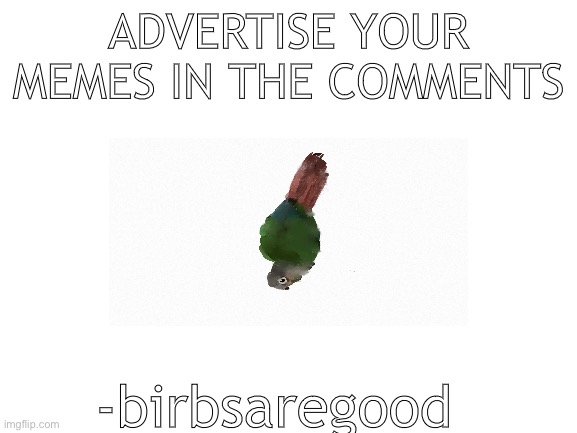 Advertise memes here | ADVERTISE YOUR MEMES IN THE COMMENTS; -birbsaregood | image tagged in blank white template | made w/ Imgflip meme maker