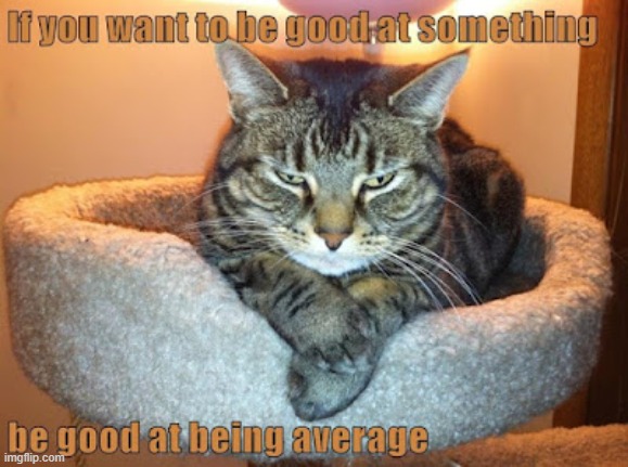 This #lolcat wonders if you're okay with being average | image tagged in lolcat,think about it,average,excellent | made w/ Imgflip meme maker