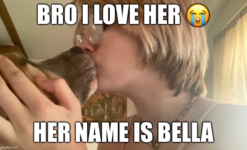 BRO I LOVE HER 😭; HER NAME IS BELLA | image tagged in dog | made w/ Imgflip meme maker
