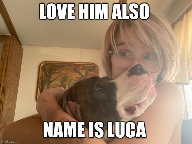 LOVE HIM ALSO; NAME IS LUCA | image tagged in dog | made w/ Imgflip meme maker