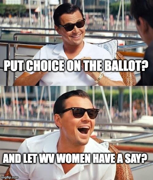 WV Dem women | PUT CHOICE ON THE BALLOT? AND LET WV WOMEN HAVE A SAY? | image tagged in memes,leonardo dicaprio wolf of wall street | made w/ Imgflip meme maker