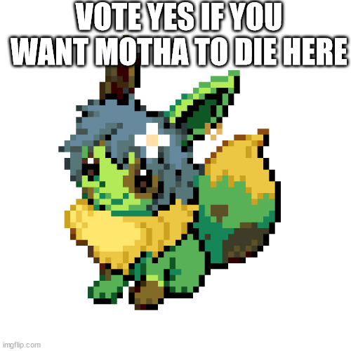 evan | VOTE YES IF YOU WANT MOTHA TO DIE HERE | image tagged in evan | made w/ Imgflip meme maker