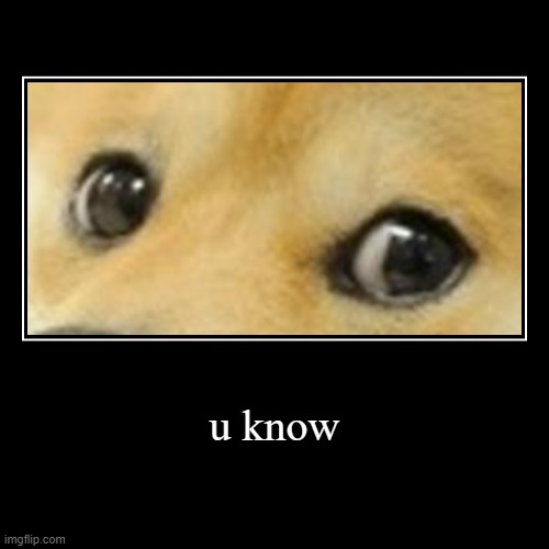 yes u do | image tagged in funny,demotivationals,doge,eyes | made w/ Imgflip demotivational maker