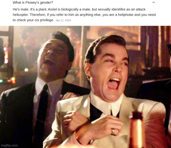 I just cracked up in the middle of history class | image tagged in goodfellas laugh | made w/ Imgflip meme maker