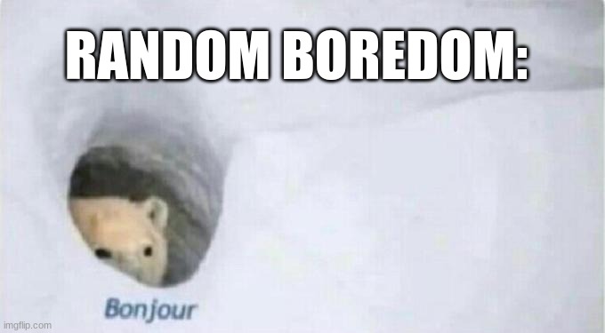 Bonjour Bear | RANDOM BOREDOM: | image tagged in bonjour bear | made w/ Imgflip meme maker