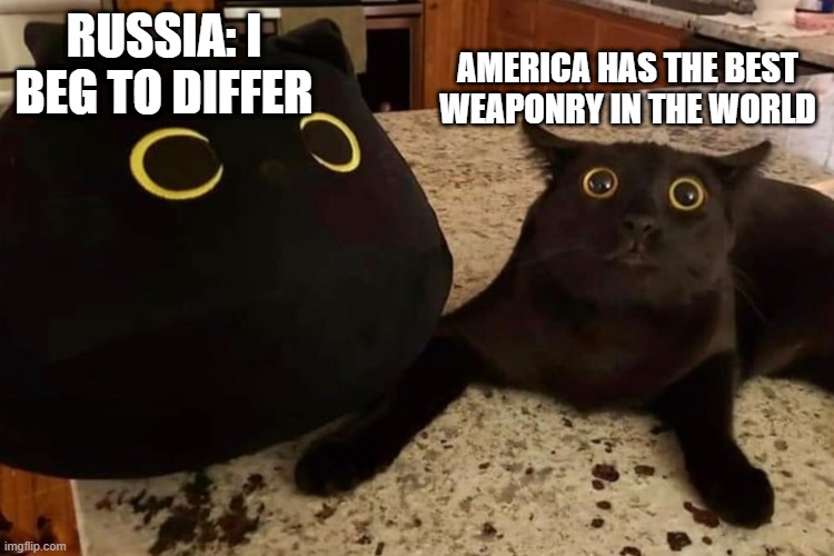 i was bored | AMERICA HAS THE BEST WEAPONRY IN THE WORLD; RUSSIA: I BEG TO DIFFER | image tagged in wack the cat | made w/ Imgflip meme maker