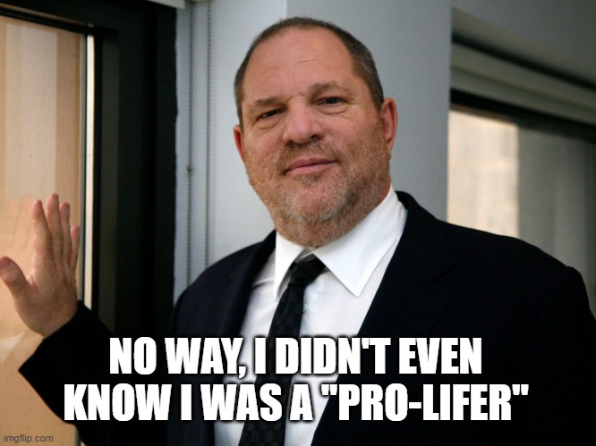 Harvey Weinstein Please Come In | NO WAY, I DIDN'T EVEN KNOW I WAS A "PRO-LIFER" | image tagged in harvey weinstein please come in | made w/ Imgflip meme maker