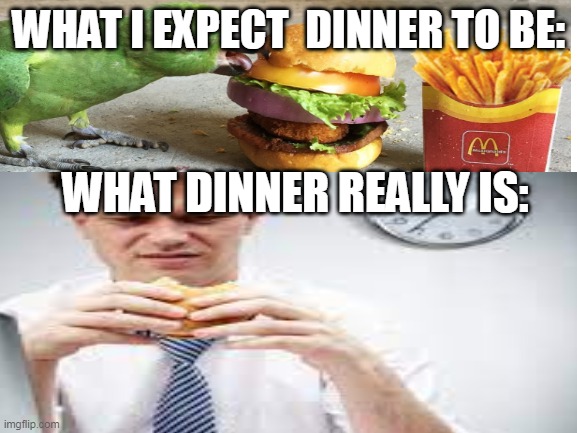 Yeah Like litreally | WHAT I EXPECT  DINNER TO BE:; WHAT DINNER REALLY IS: | image tagged in dinner | made w/ Imgflip meme maker