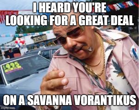 used car salesman | I HEARD YOU'RE LOOKING FOR A GREAT DEAL; ON A SAVANNA VORANTIKUS | image tagged in used car salesman | made w/ Imgflip meme maker