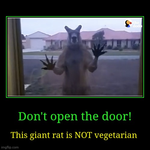 Run. | image tagged in funny,demotivationals,meanwhile in australia,run for your life,kangaroo | made w/ Imgflip demotivational maker
