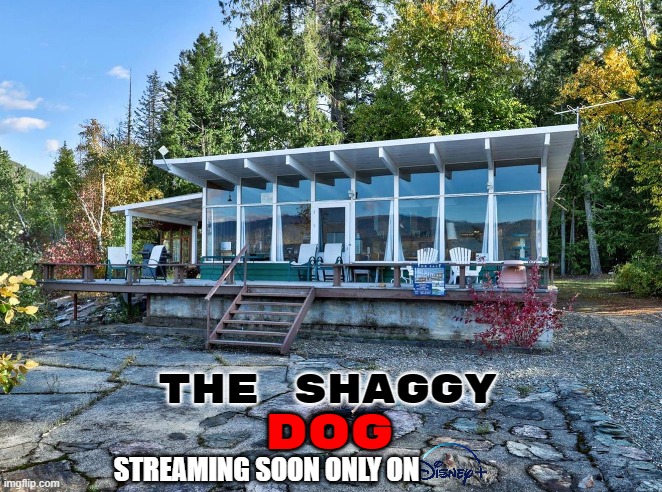 franchises that might not get rebooted yet part 2 | THE SHAGGY; DOG; STREAMING SOON ONLY ON | image tagged in fancy window house trees,disney plus,comedy,dogs | made w/ Imgflip meme maker