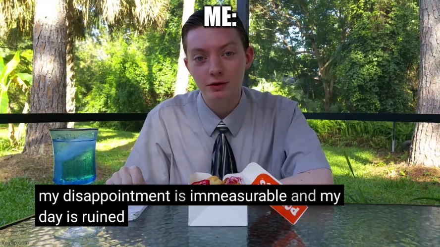 My Disappointment Is Immeasurable | ME: | image tagged in my disappointment is immeasurable | made w/ Imgflip meme maker