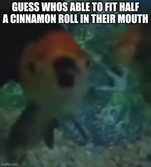 fishler | GUESS WHOS ABLE TO FIT HALF A CINNAMON ROLL IN THEIR MOUTH | image tagged in fishler | made w/ Imgflip meme maker