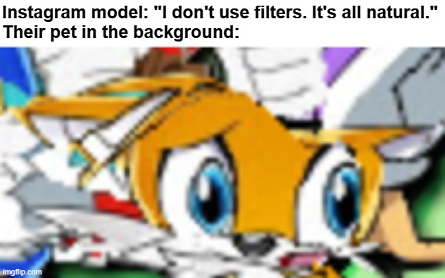 Unoriginal meme.jpg | Instagram model: "I don't use filters. It's all natural."
Their pet in the background: | image tagged in unoriginal,tails the fox,memes,stop reading the tags | made w/ Imgflip meme maker
