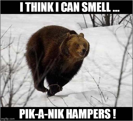 One Happy Bear ! | I THINK I CAN SMELL ... PIK-A-NIK HAMPERS ! | image tagged in bears,smell,food | made w/ Imgflip meme maker