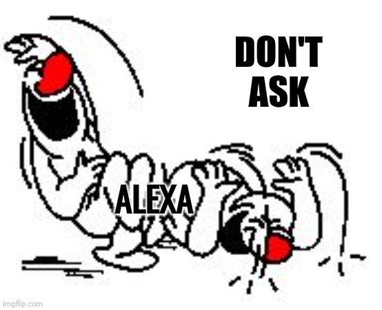 LOL Hysterically | DON'T       
ASK ALEXA | image tagged in lol hysterically | made w/ Imgflip meme maker