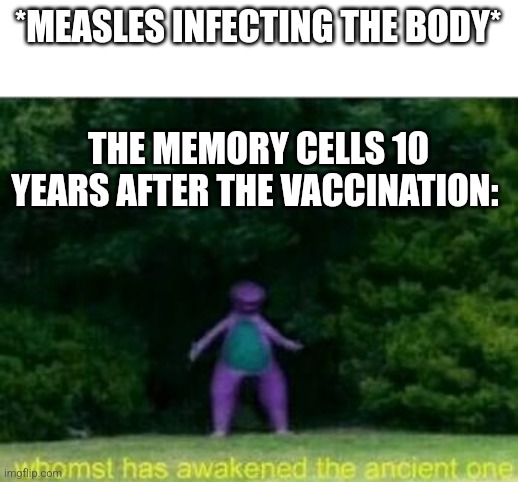 Whomst has awakened the ancient one | *MEASLES INFECTING THE BODY*; THE MEMORY CELLS 10 YEARS AFTER THE VACCINATION: | image tagged in whomst has awakened the ancient one | made w/ Imgflip meme maker