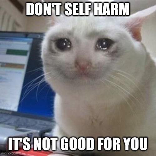 Crying cat | DON'T SELF HARM; IT'S NOT GOOD FOR YOU | image tagged in crying cat | made w/ Imgflip meme maker