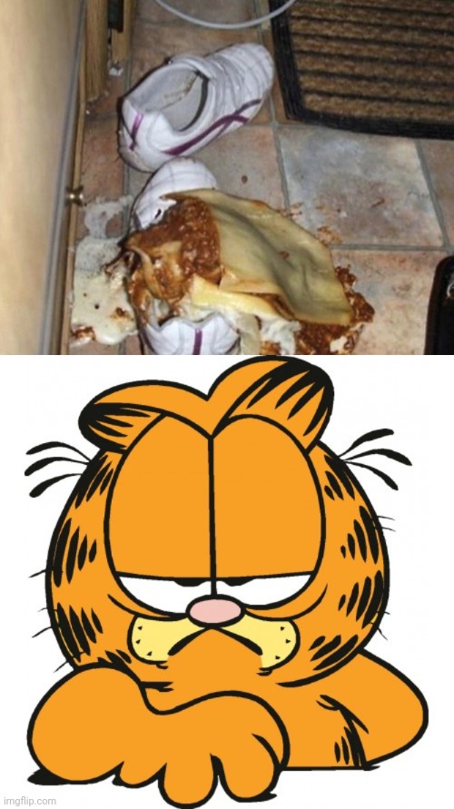 Cursed lasagna: Lasagna on shoe | image tagged in garfield,cursed image,lasagna,shoes,memes,shoe | made w/ Imgflip meme maker