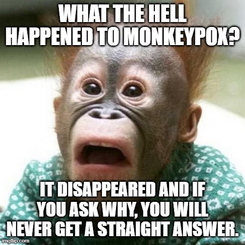 Shocked Monkey | WHAT THE HELL HAPPENED TO MONKEYPOX? IT DISAPPEARED AND IF YOU ASK WHY, YOU WILL NEVER GET A STRAIGHT ANSWER. | image tagged in shocked monkey | made w/ Imgflip meme maker