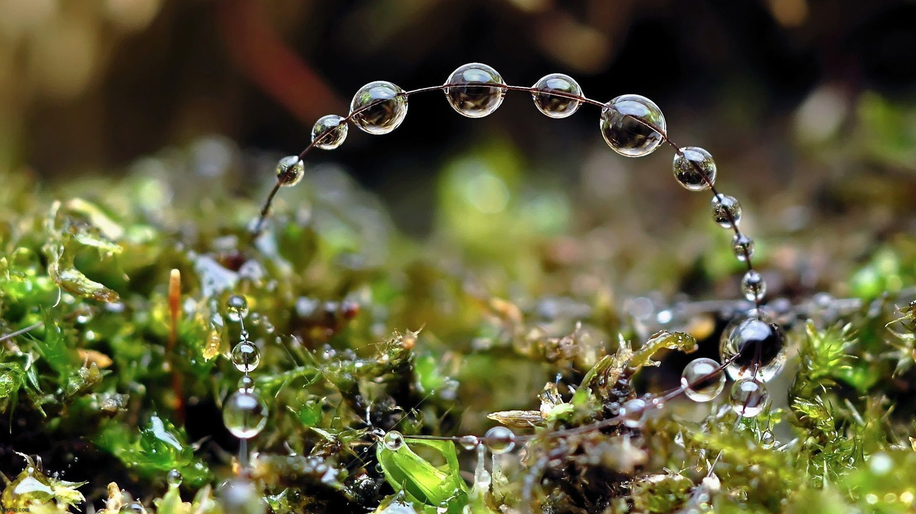 image tagged in awesome | made w/ Imgflip meme maker