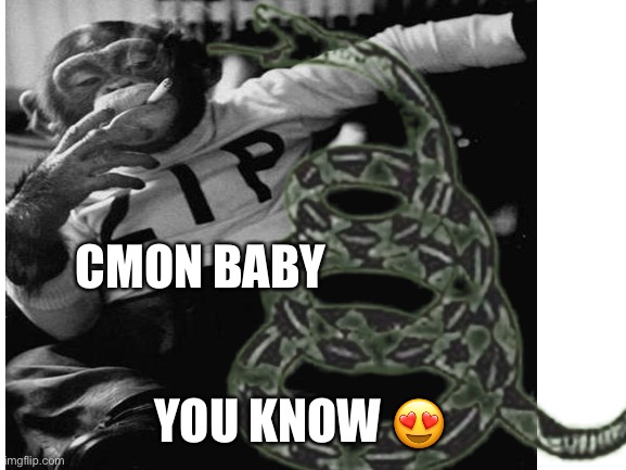 CMON BABY YOU KNOW ? | made w/ Imgflip meme maker