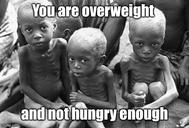 starving africans | You are overweight and not hungry enough | image tagged in starving africans | made w/ Imgflip meme maker